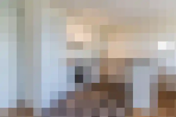 Wislaan 271 Uden thumbnail 15
