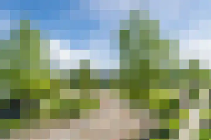 Wislaan 271 Uden thumbnail 24