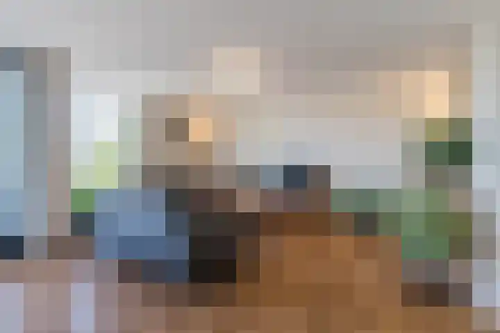 Wislaan 271 Uden thumbnail 9