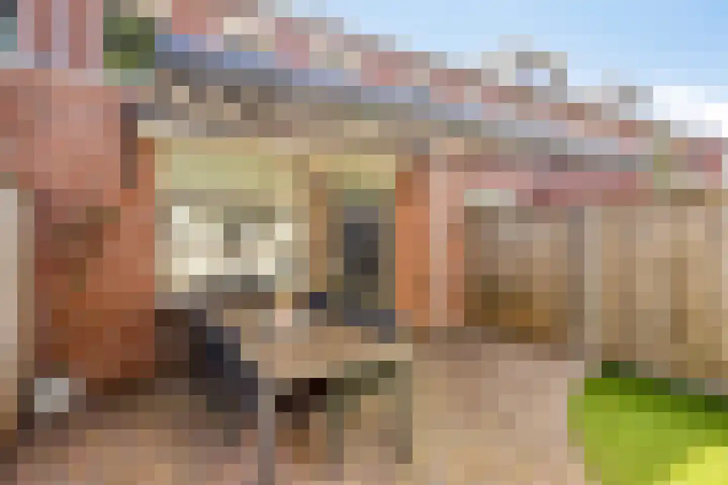 Wislaan 49 Uden thumbnail 36