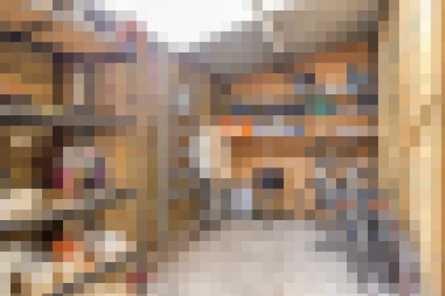 Wislaan 49 Uden thumbnail 37