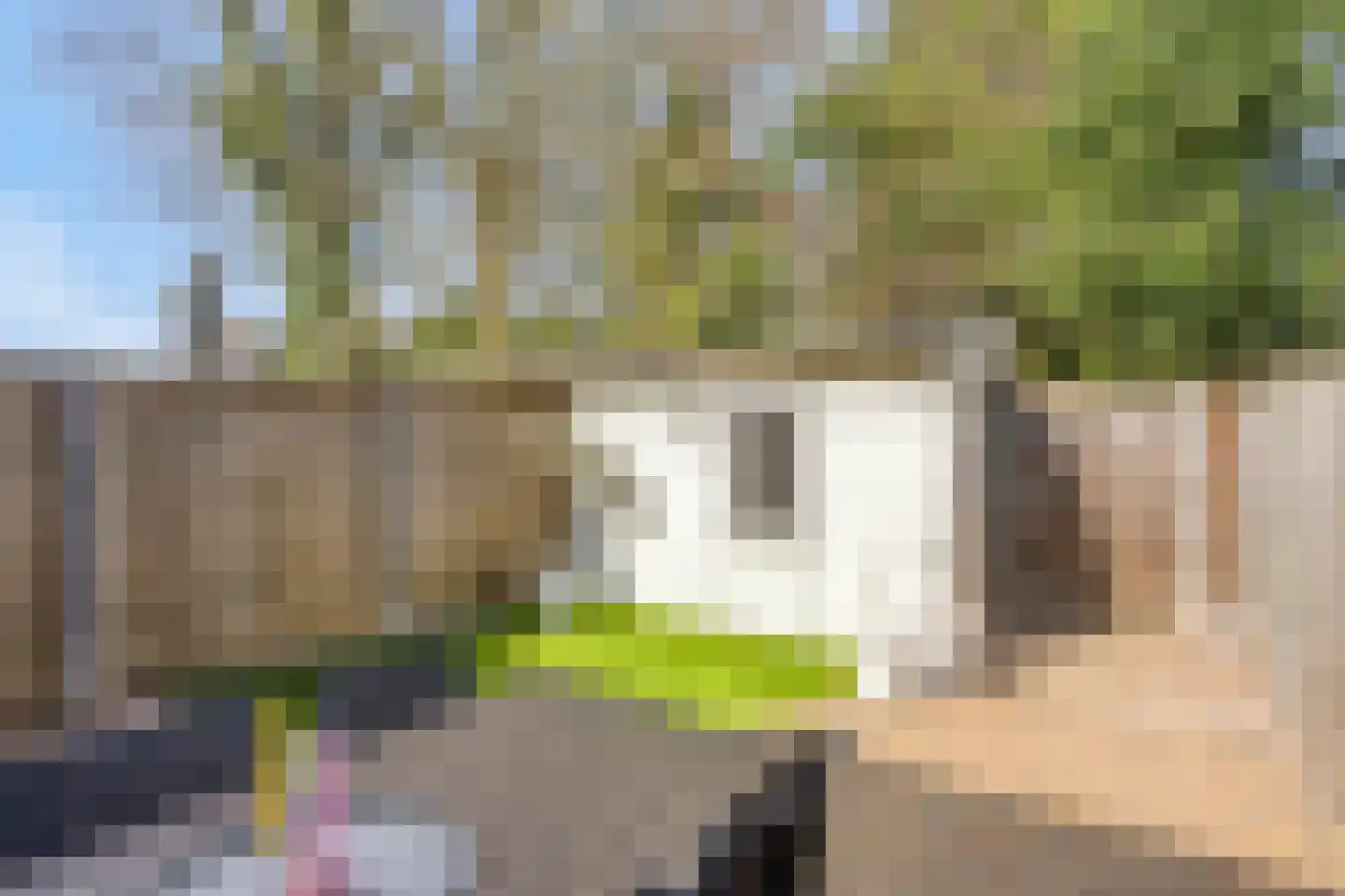 Wislaan 49 Uden thumbnail 4