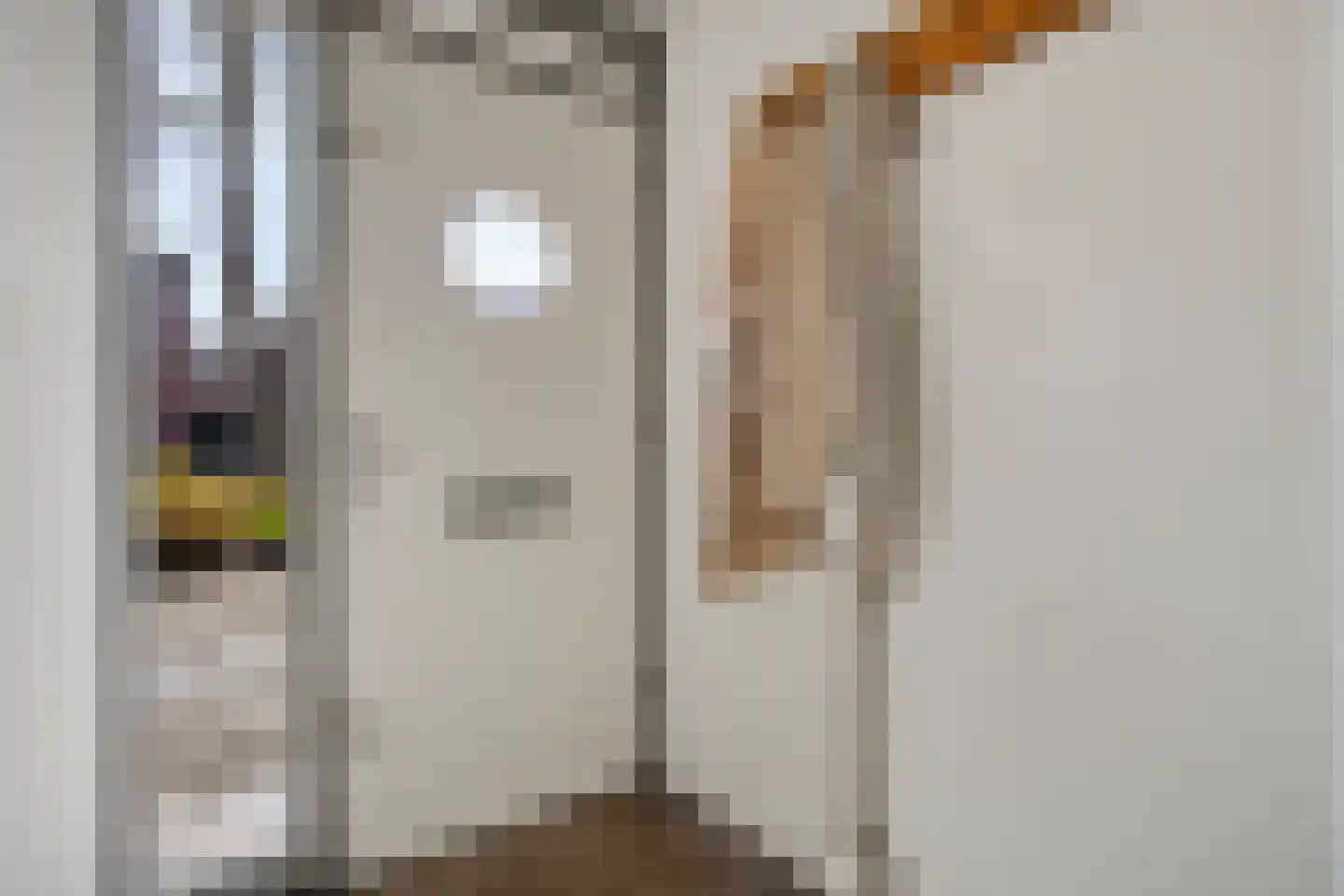 Wislaan 49 Uden thumbnail 6