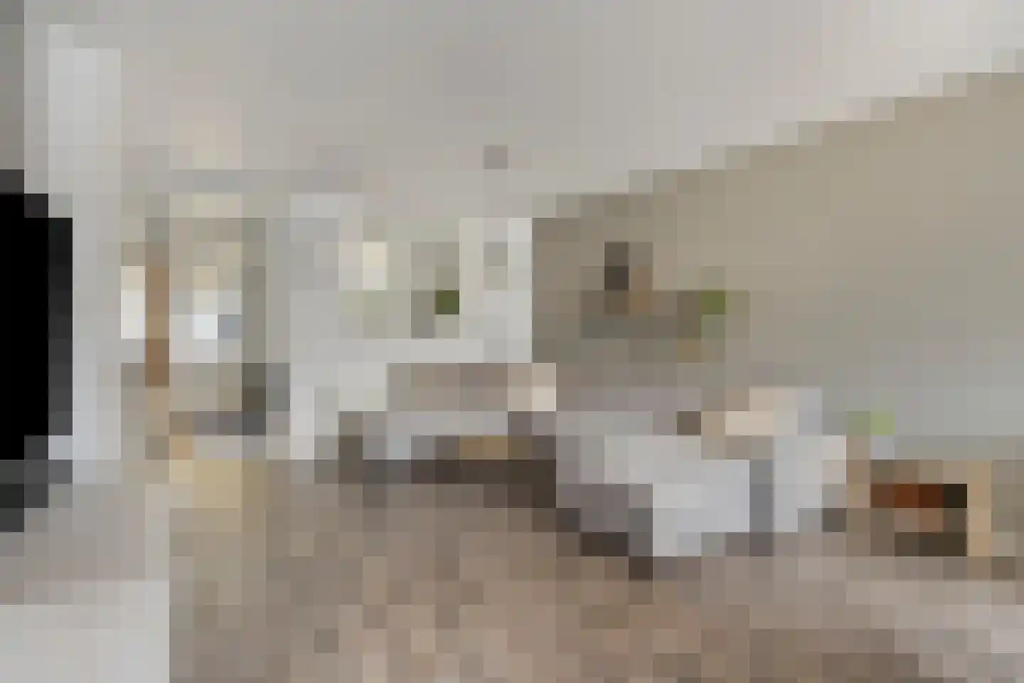 Wislaan 49 Uden thumbnail 8