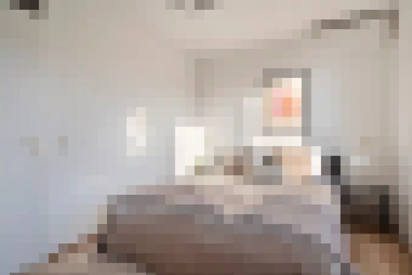 Wislaan 76 Uden thumbnail 19