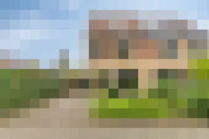 Wispel 15 Drachten
