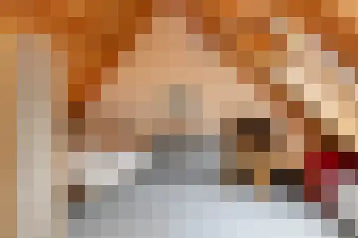 Wispel 15 Drachten thumbnail 19