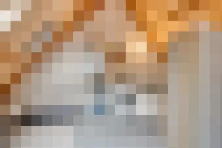 Wispel 15 Drachten thumbnail 20