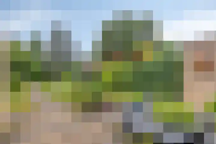 Wispel 15 Drachten thumbnail 21
