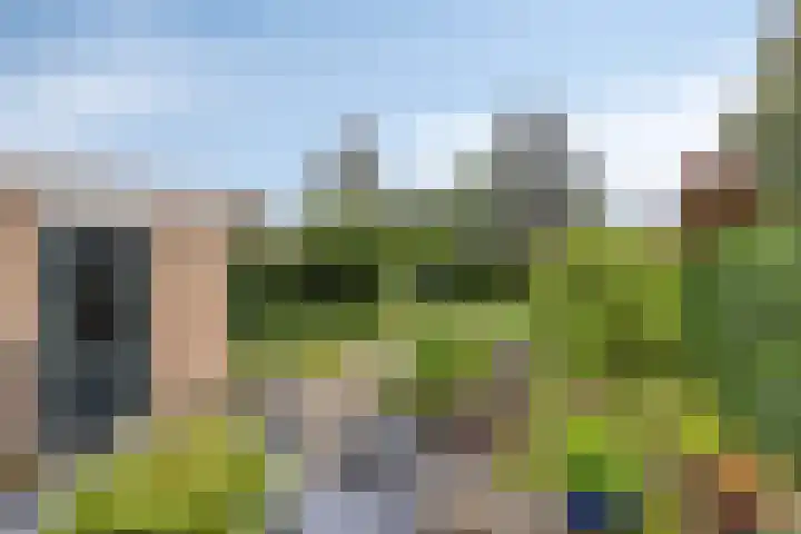 Wispel 15 Drachten thumbnail 22