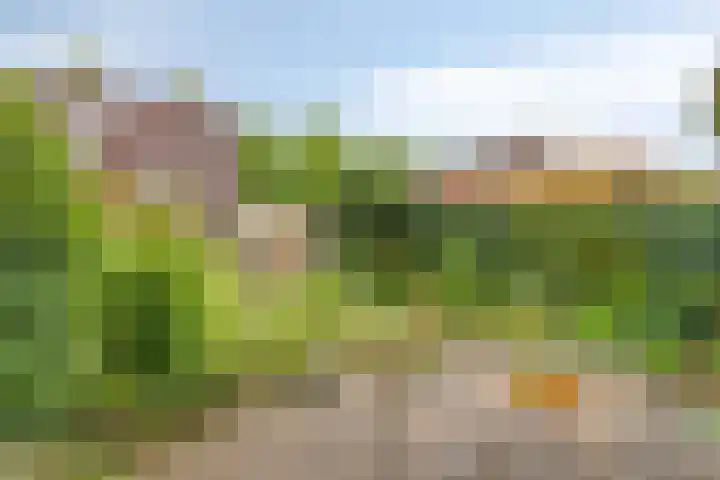 Wispel 15 Drachten thumbnail 23