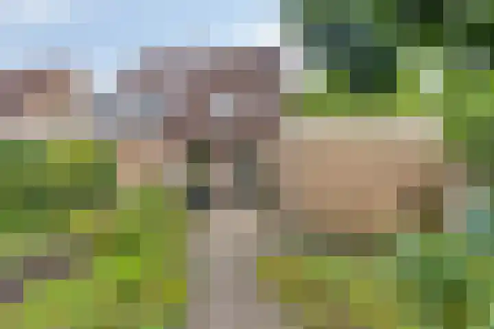 Wispel 15 Drachten thumbnail 24