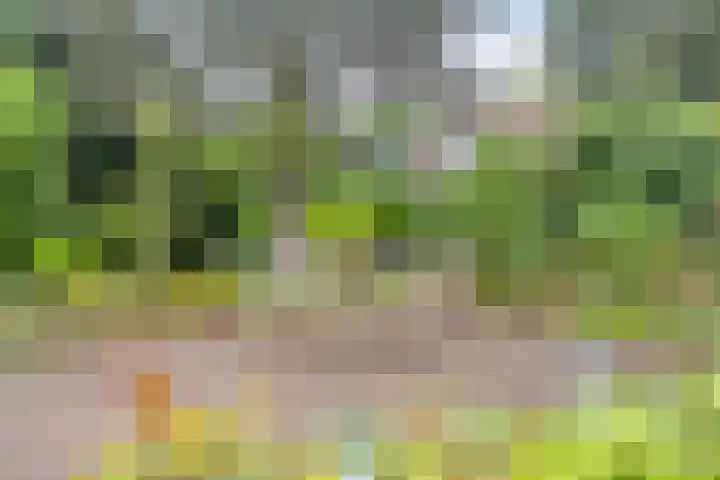 Wispel 15 Drachten thumbnail 25