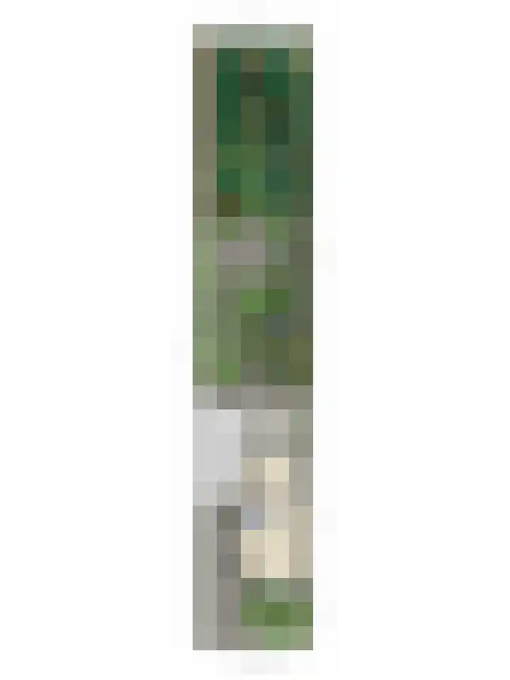 Wispel 15 Drachten thumbnail 30