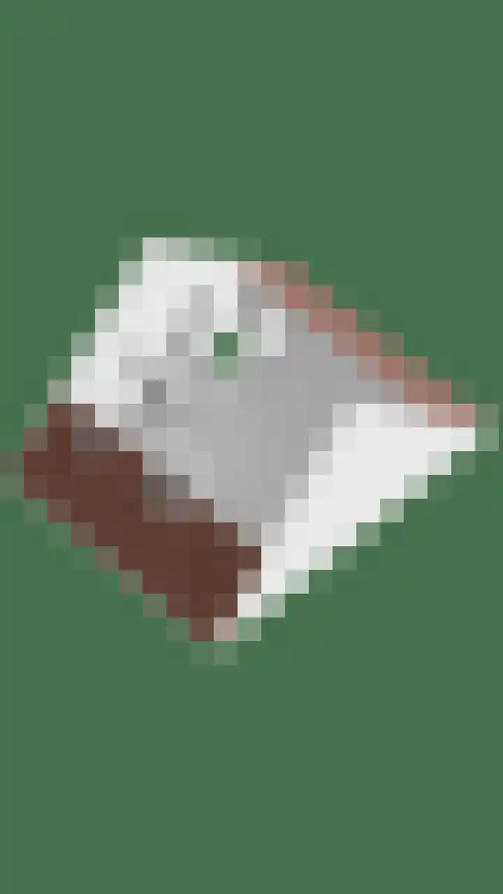 Wispel 15 Drachten thumbnail 35