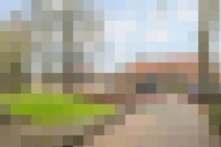 Wispelweg 20 Luttenberg thumbnail 25