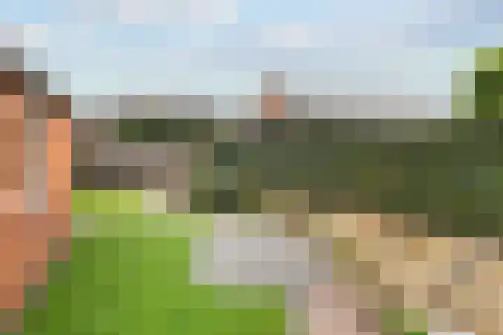 Wispelweg 20 Luttenberg thumbnail 31