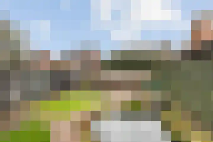Wispelweg 20 Luttenberg thumbnail 32