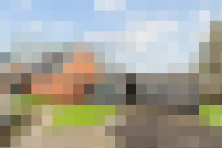 Wispelweg 20 Luttenberg thumbnail 33