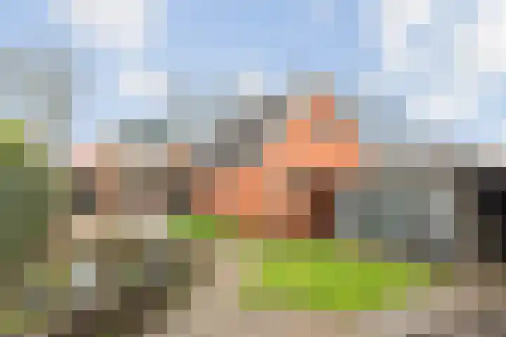 Wispelweg 20 Luttenberg thumbnail 34