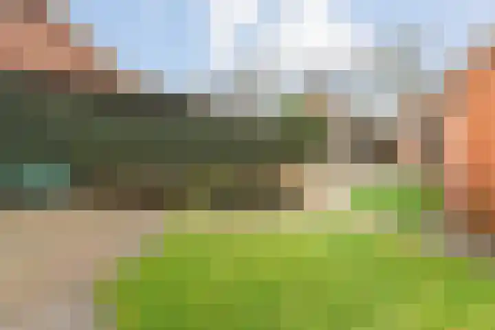 Wispelweg 20 Luttenberg thumbnail 35