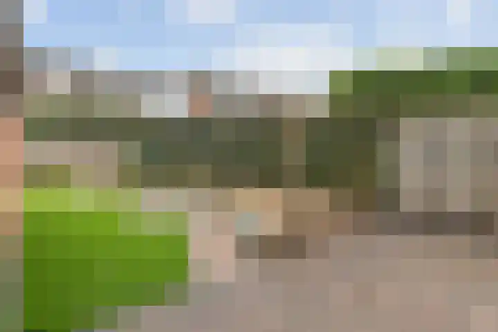 Wispelweg 20 Luttenberg thumbnail 38
