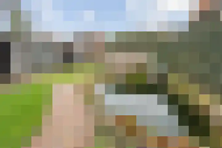 Wispelweg 20 Luttenberg thumbnail 40