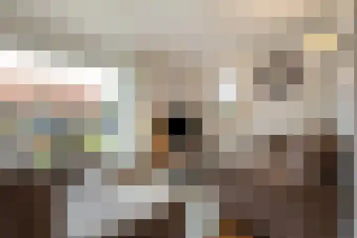 Wispelweg 20 Luttenberg thumbnail 5