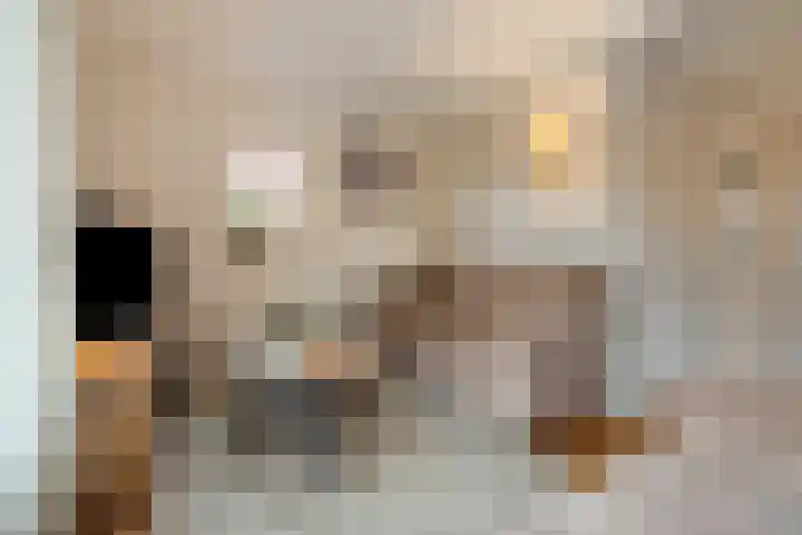 Wispelweg 20 Luttenberg thumbnail 6