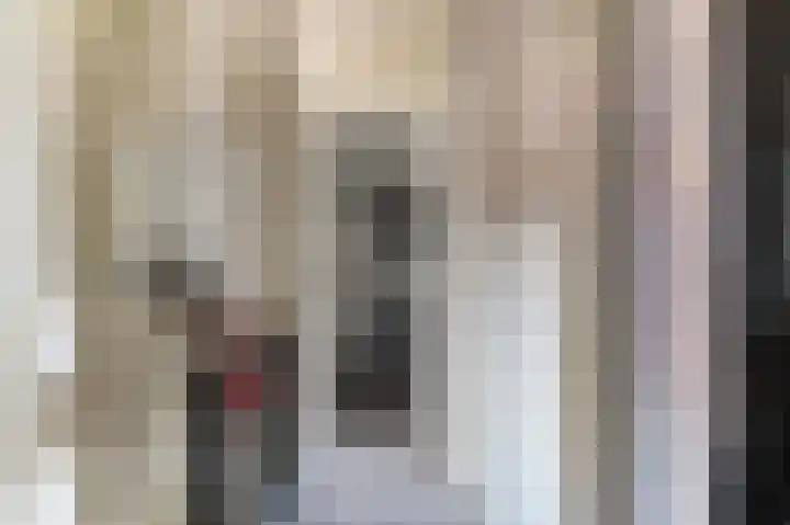 Wispelweg 21 Luttenberg thumbnail 24