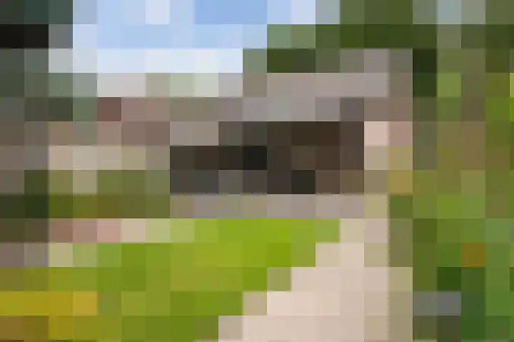 Wispelweg 21 Luttenberg thumbnail 25