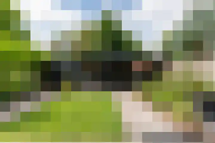 Wispelweg 21 Luttenberg thumbnail 27