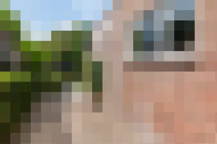 Wispelweg 21 Luttenberg thumbnail 28