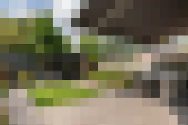 Wispelweg 21 Luttenberg thumbnail 29