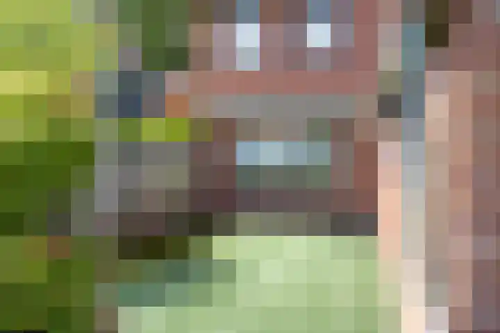 Wispelweg 28 Luttenberg thumbnail 20