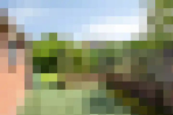 Wispelweg 28 Luttenberg thumbnail 21