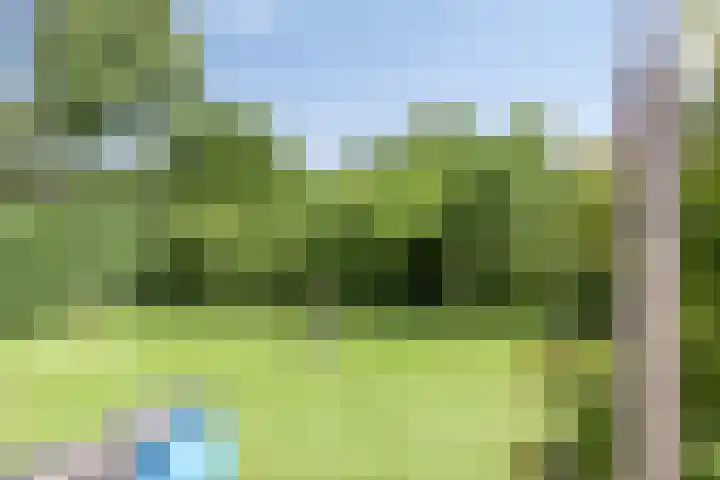 Wispelweg 28 Luttenberg thumbnail 22