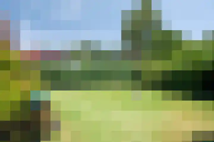 Wispelweg 28 Luttenberg thumbnail 23