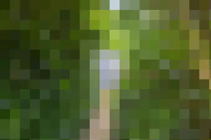 Wispelweg 28 Luttenberg thumbnail 24