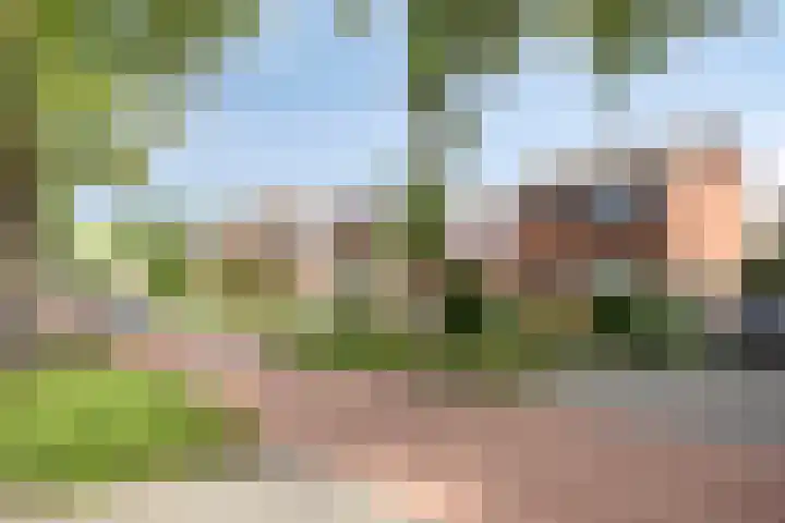 Wispelweg 28 Luttenberg thumbnail 26