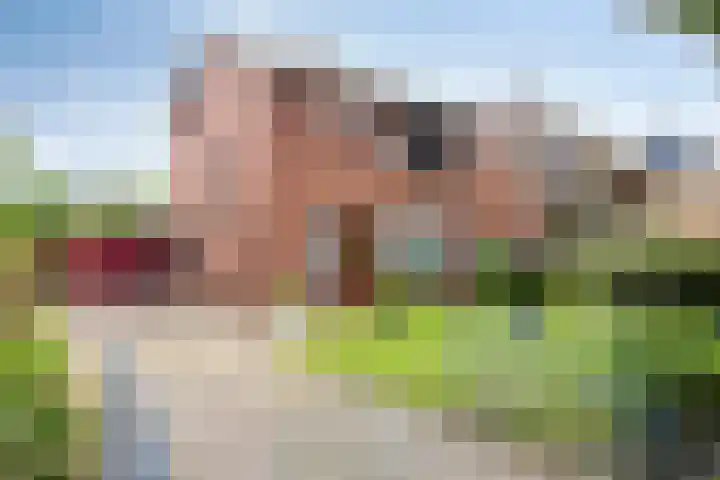 Wispelweg 28 Luttenberg thumbnail 27
