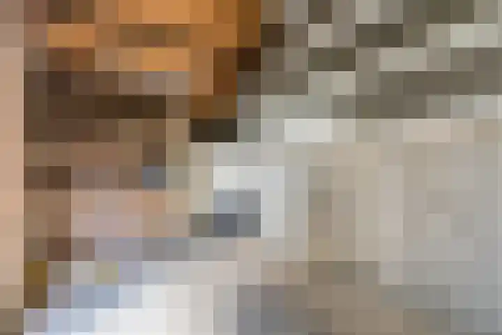 Wisse 14 Geldrop thumbnail 24
