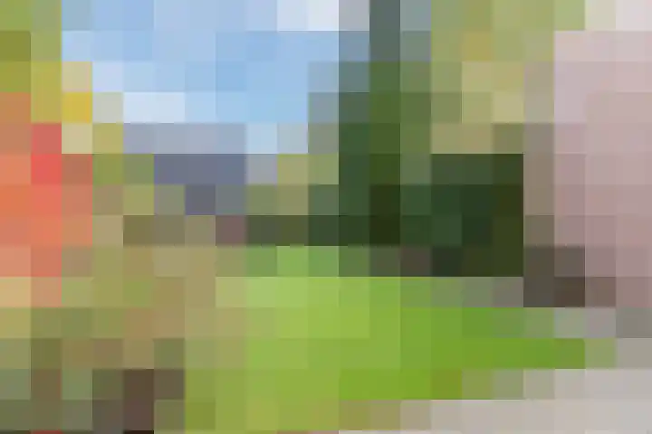 Wisse 14 Geldrop thumbnail 25