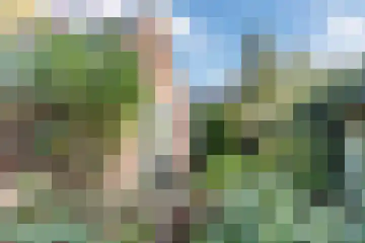 Wisse 14 Geldrop thumbnail 26