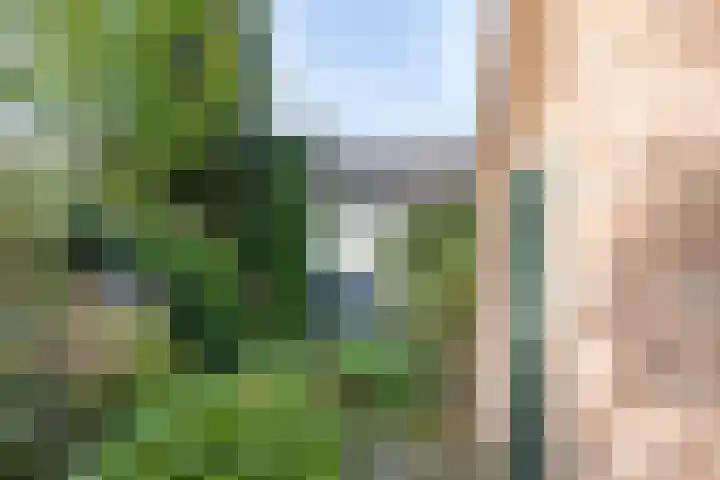 Wisse 14 Geldrop thumbnail 29