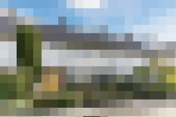 Wisse 14 Geldrop thumbnail 31