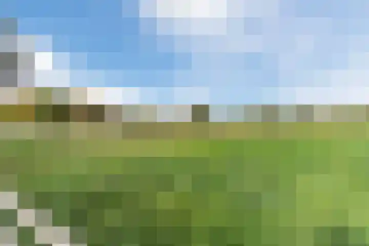 Wisse 14 Geldrop thumbnail 33