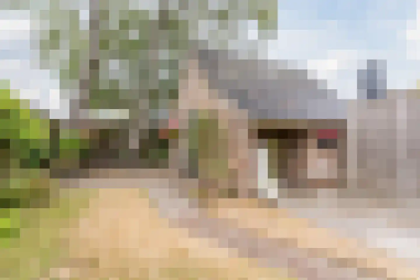 Wisse 3 Geldrop thumbnail 35