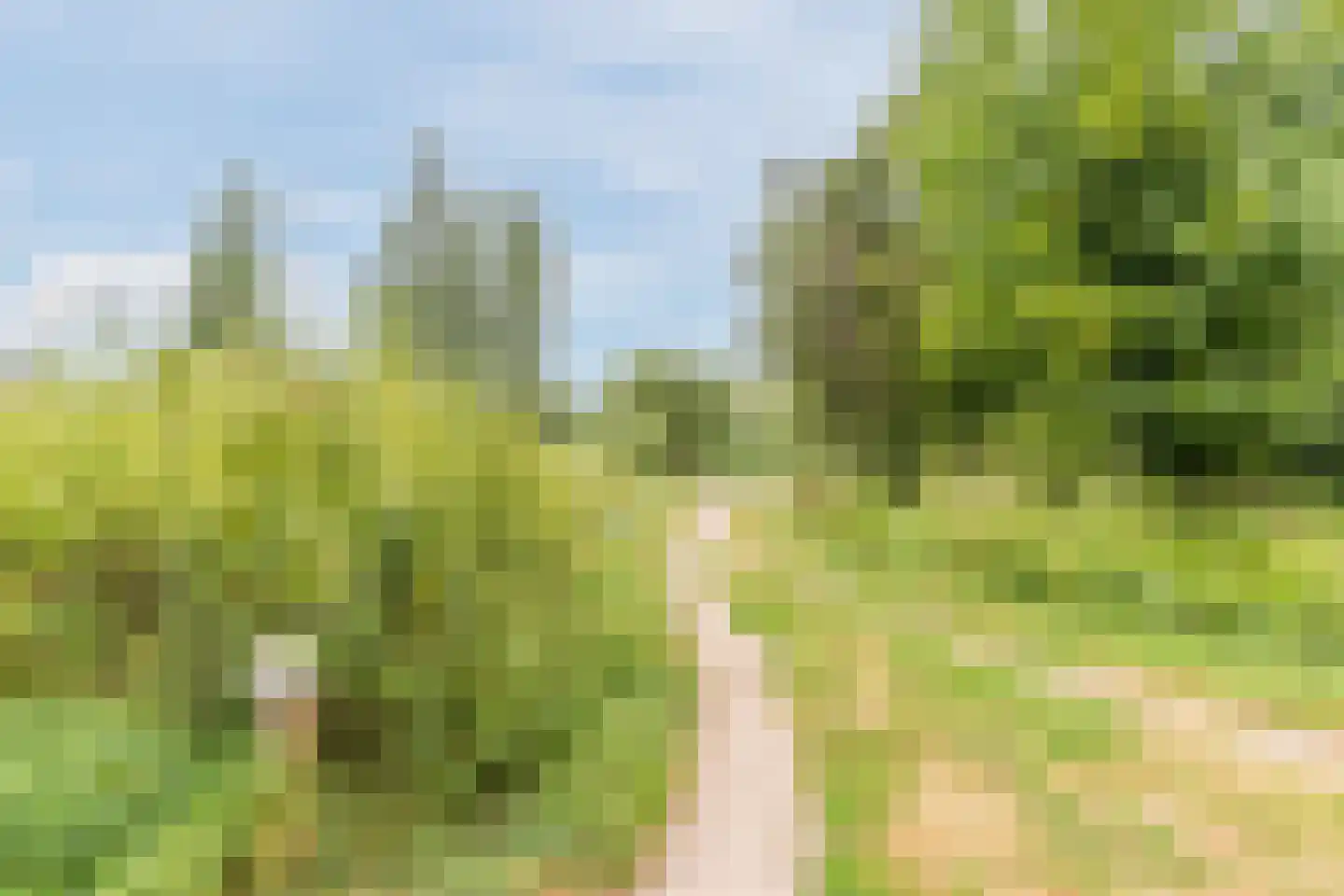 Wisse 3 Geldrop thumbnail 44