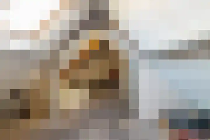 Wissebuurt 4 Nijemirdum thumbnail 24